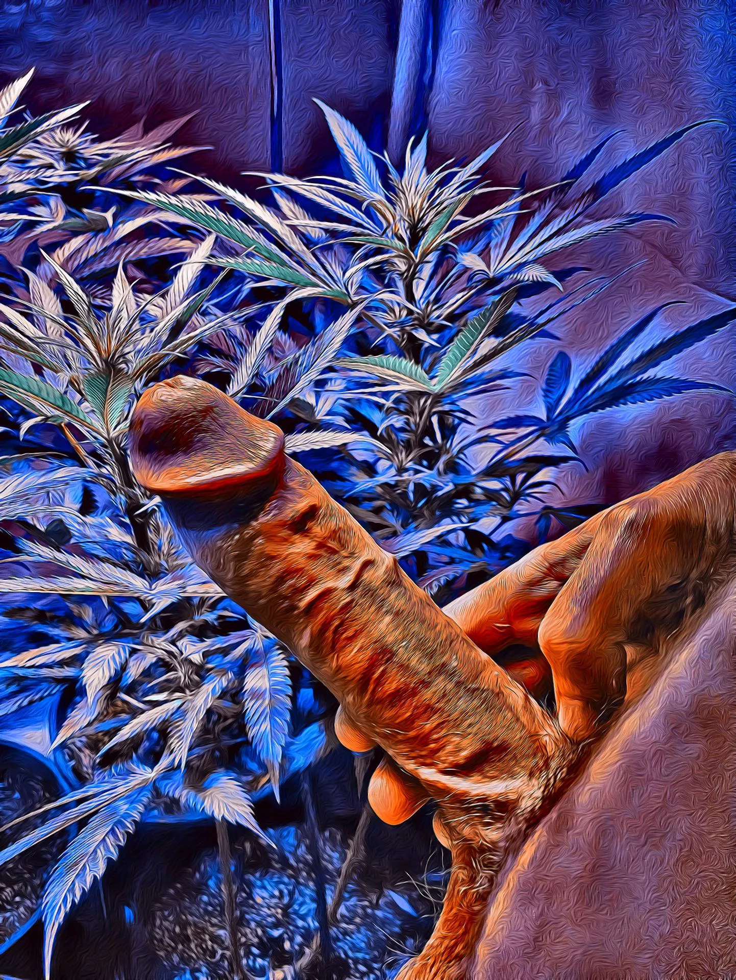Cannabis Cock 🤘 posted by bobbybushay1122