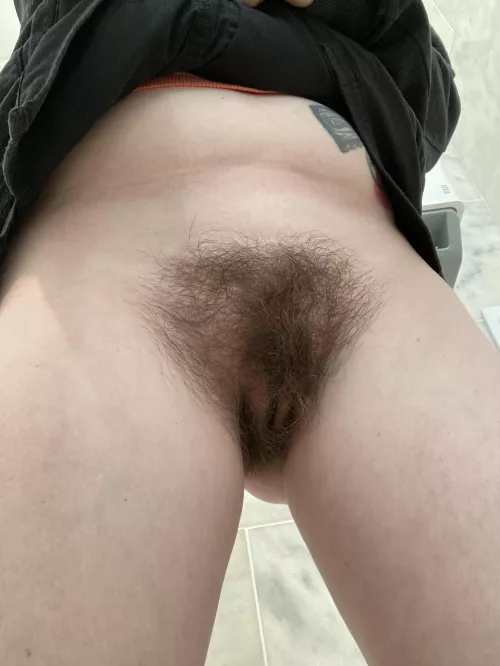 Can’t be tamed by throwaway_lolitaa