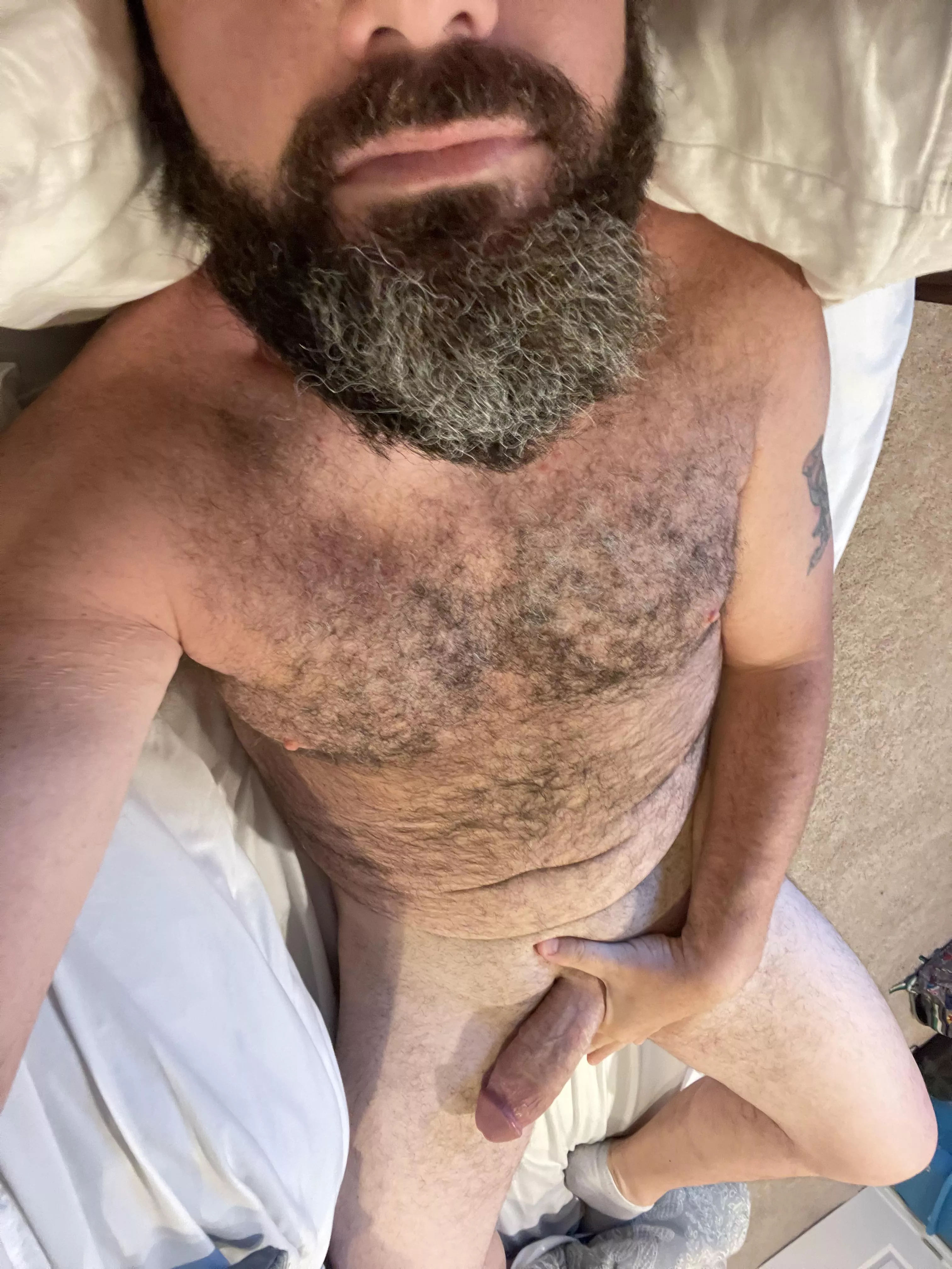 Can’t fuck all cake day if you don’t start in the morning posted by NCYank