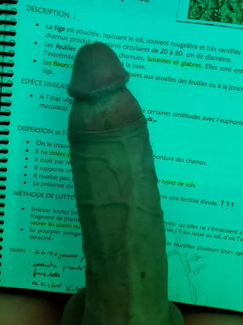 can't get cock off my mind ... by Practical-Jelly3458