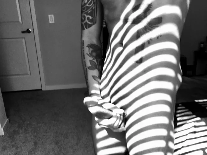 Can’t tell if it’s an artsy nude, or a zebra cosplay by fiddledidle