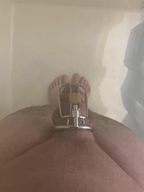 Can’t wait to get a smaller one by Alternative_Tie_45