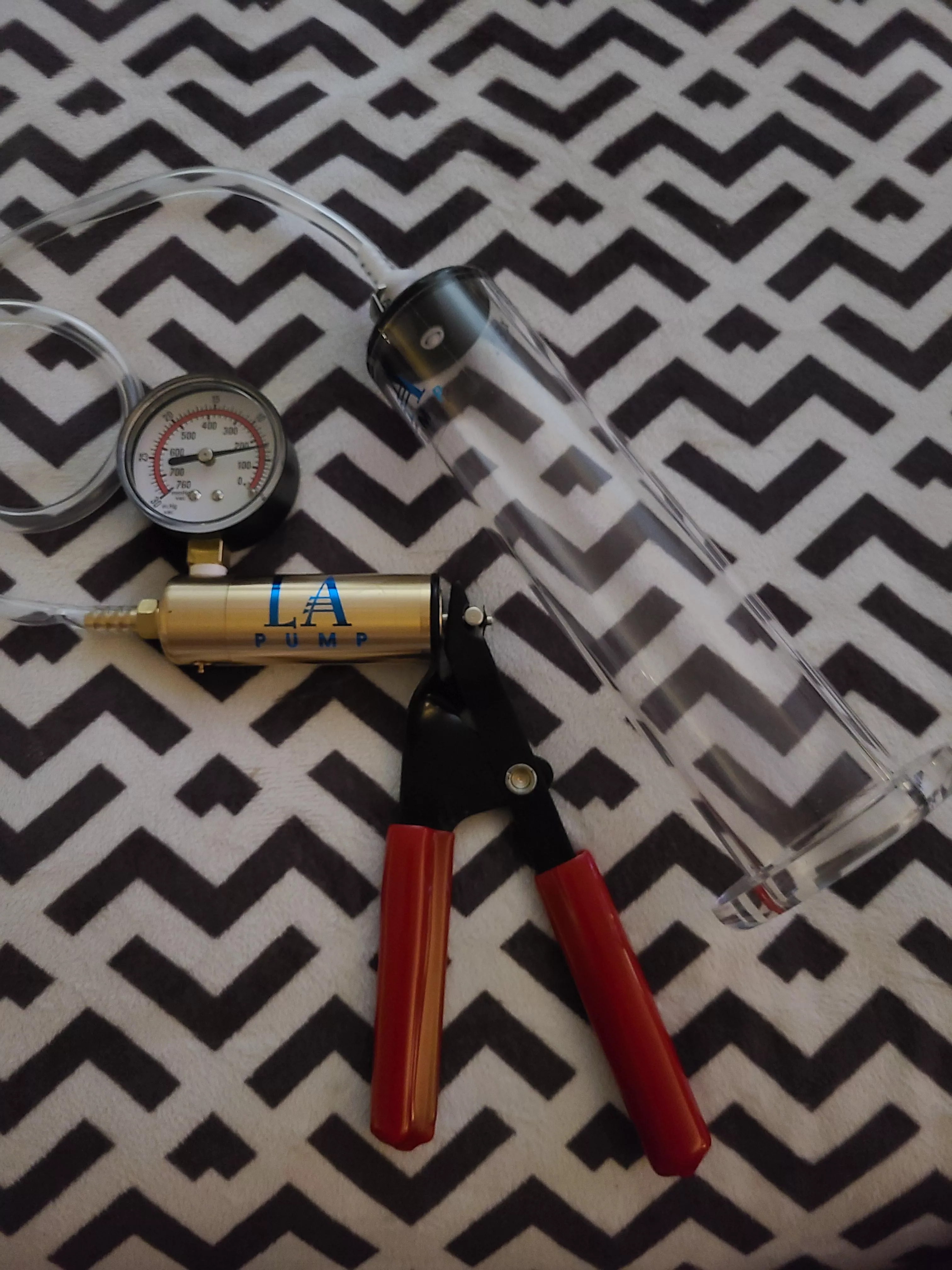 can't wait to get started posted by CousinGus