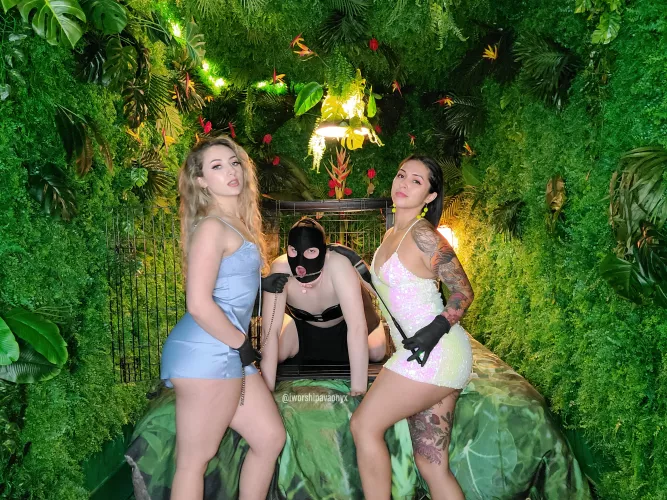 Captured and caged by two Goddesses.. who can guess what happened next? [oc] [domme] by worshipavaonyx