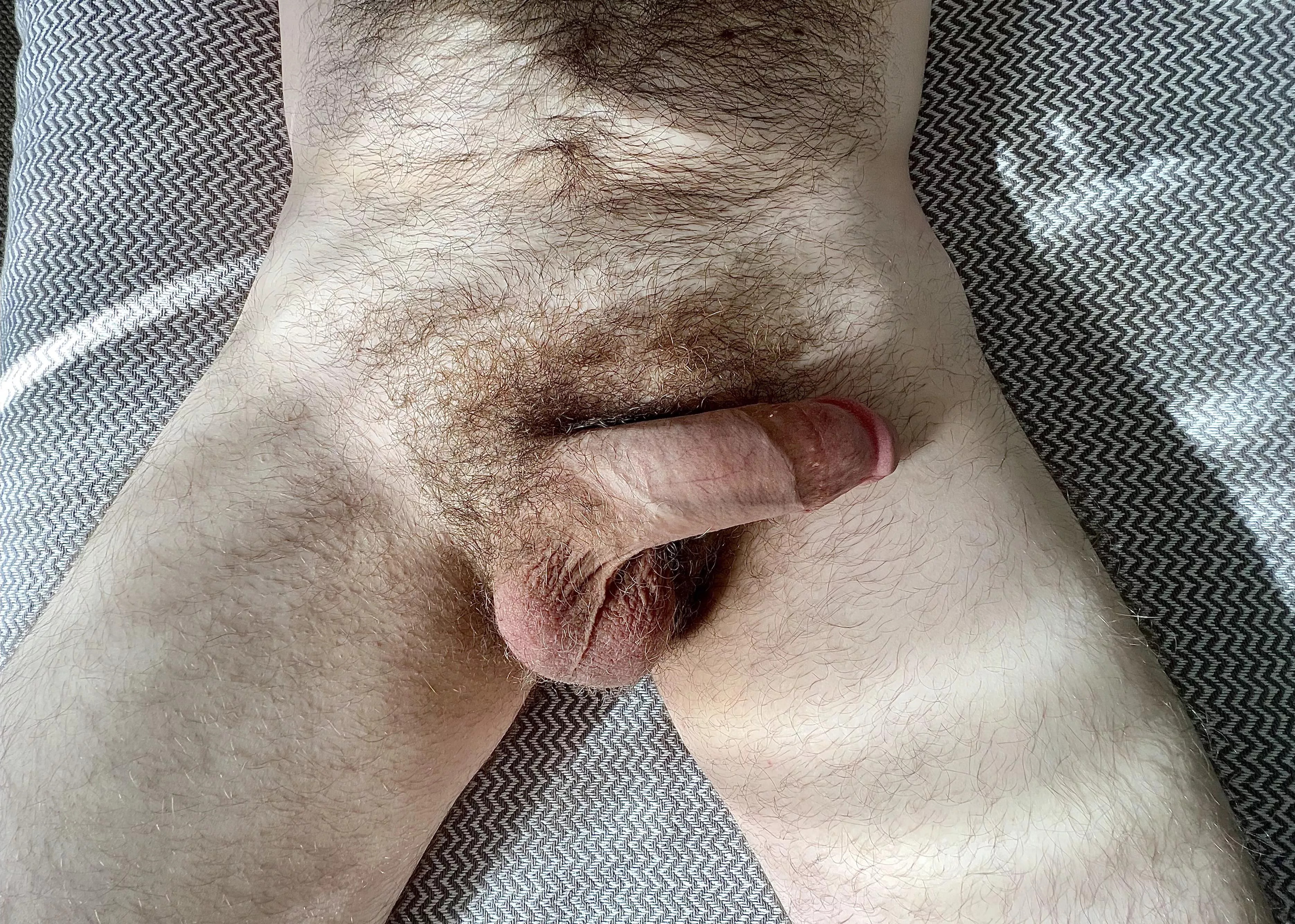 Care for a sniff? posted by chandelierficus