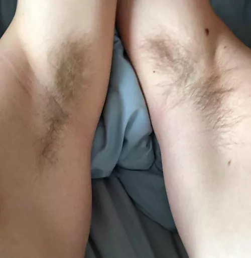 Care to give us a lick? by cameron3876