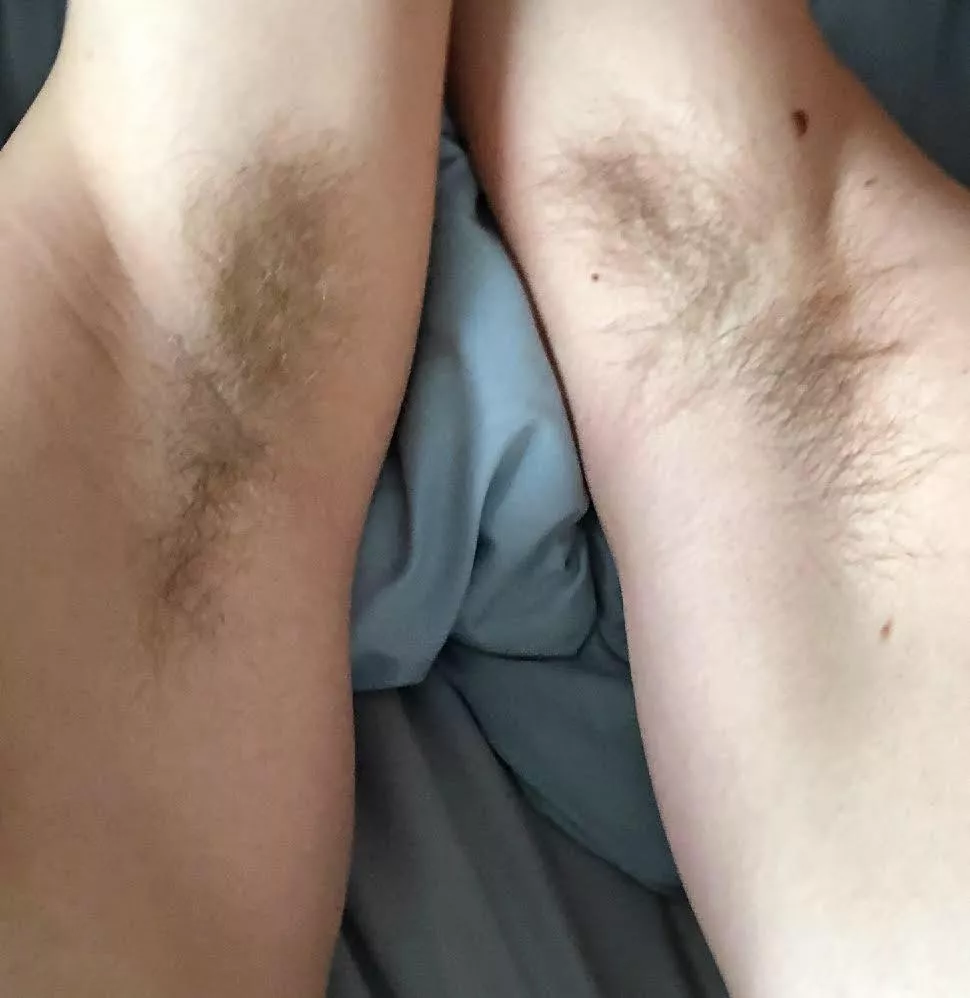 Care to give us a lick? posted by cameron3876