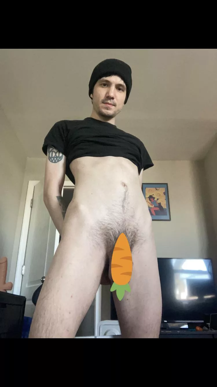Carrot to explain why you aren’t naked yet? posted by suckingalem0n