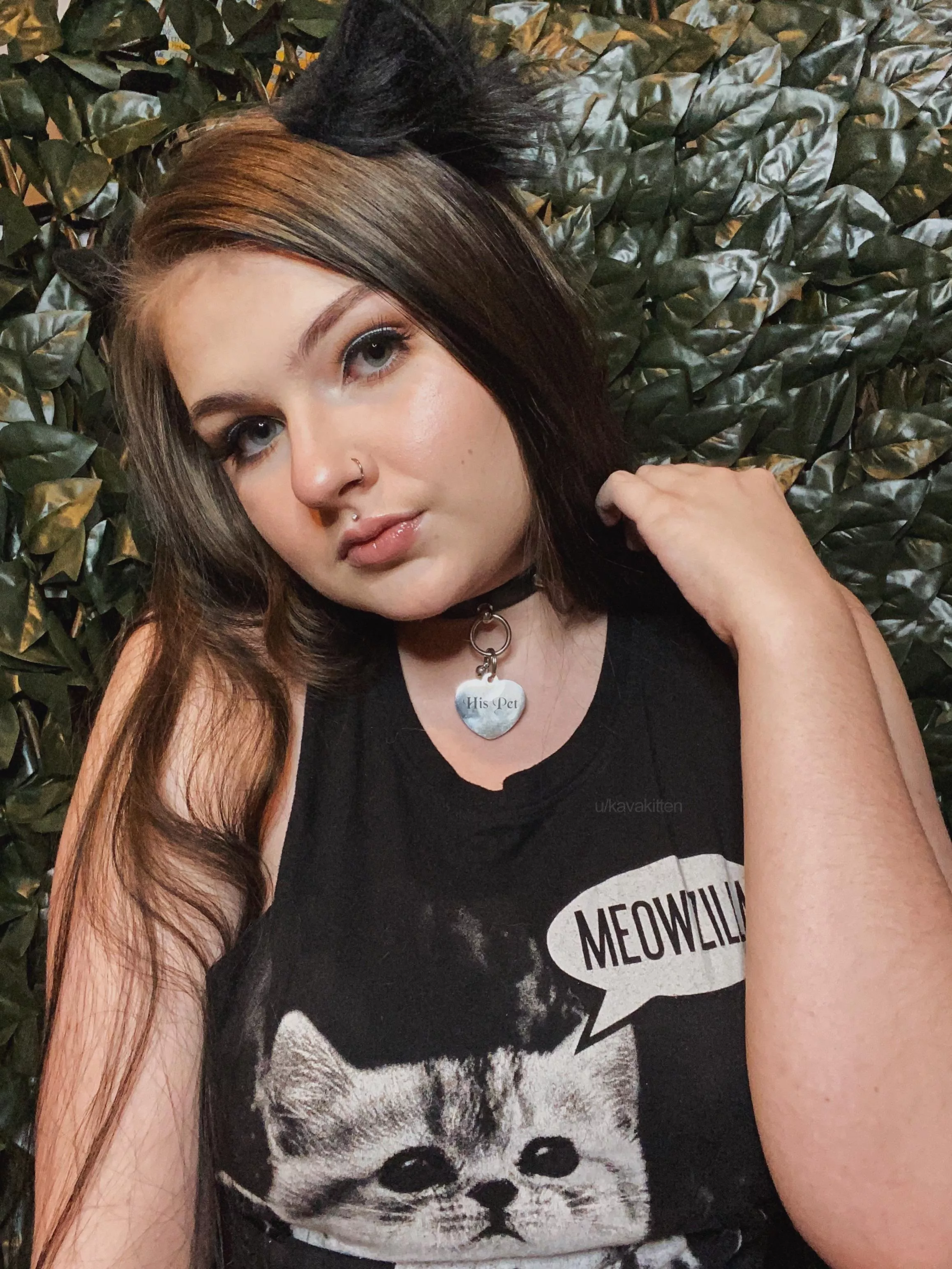 casual kitten posted by kavakitten