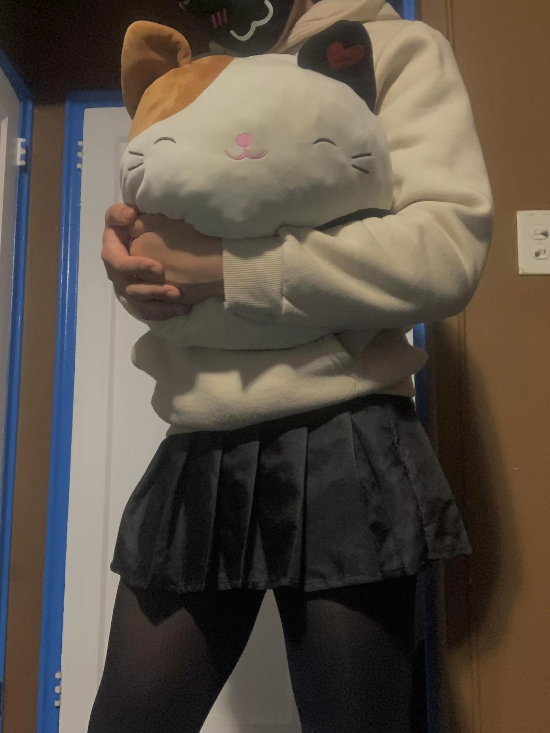 Cat plushy 😸😸 posted by Heavy_Outside_9863