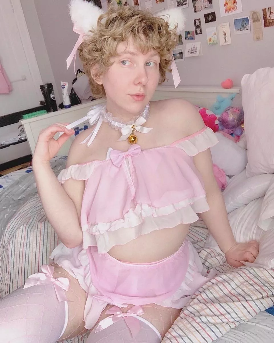 🤍🎀catboy hours🎀🤍 posted by jcatboy