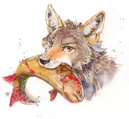 Catched tonight's dinner ! (My art, watercolor. @akatan_art on Twitter/insta) by akatan_art