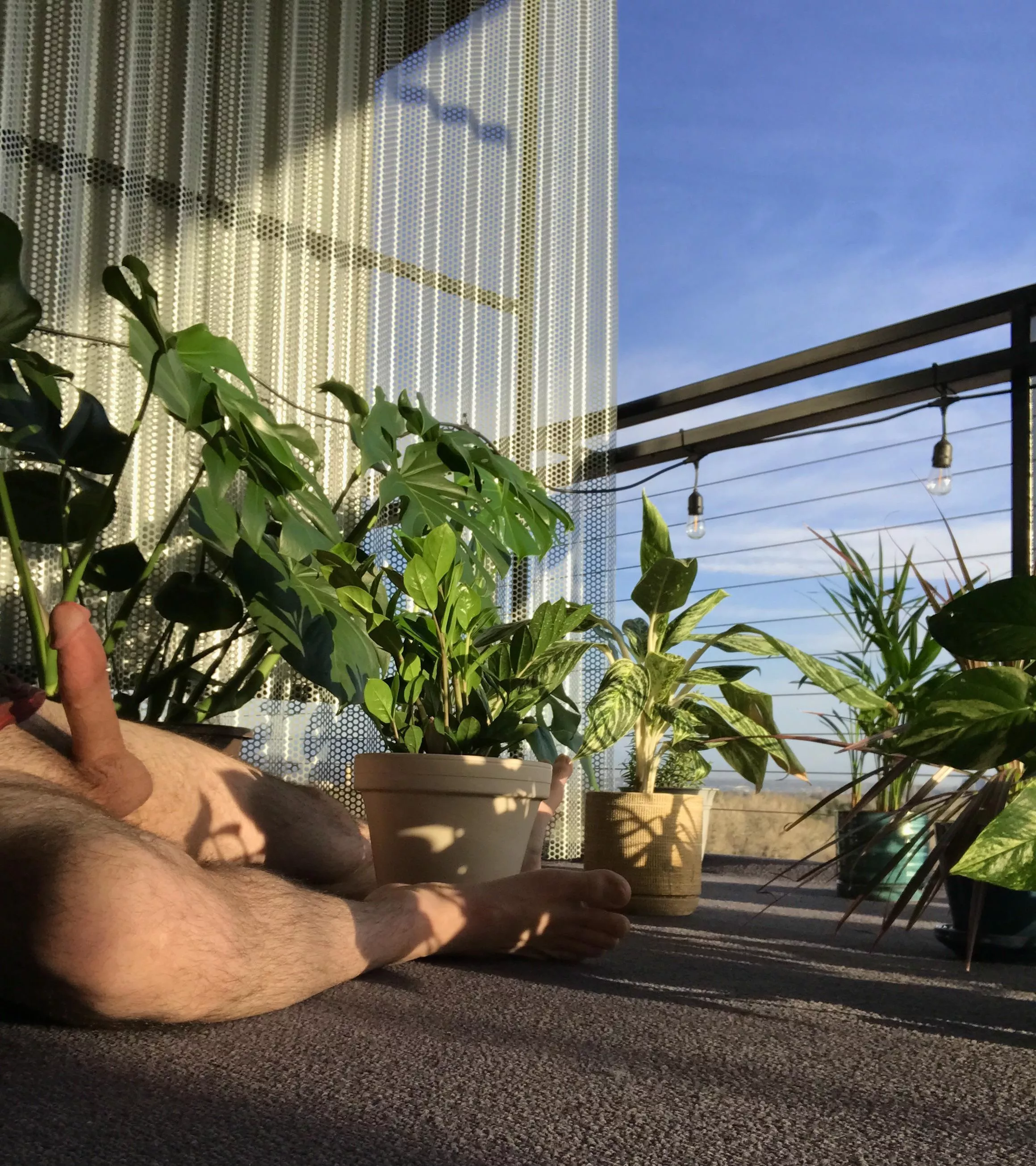 Catching some morning rays ☀️ on the patio with my 🪴’s. Hope the city got a good view 🌆😼 posted by mavmitchell213