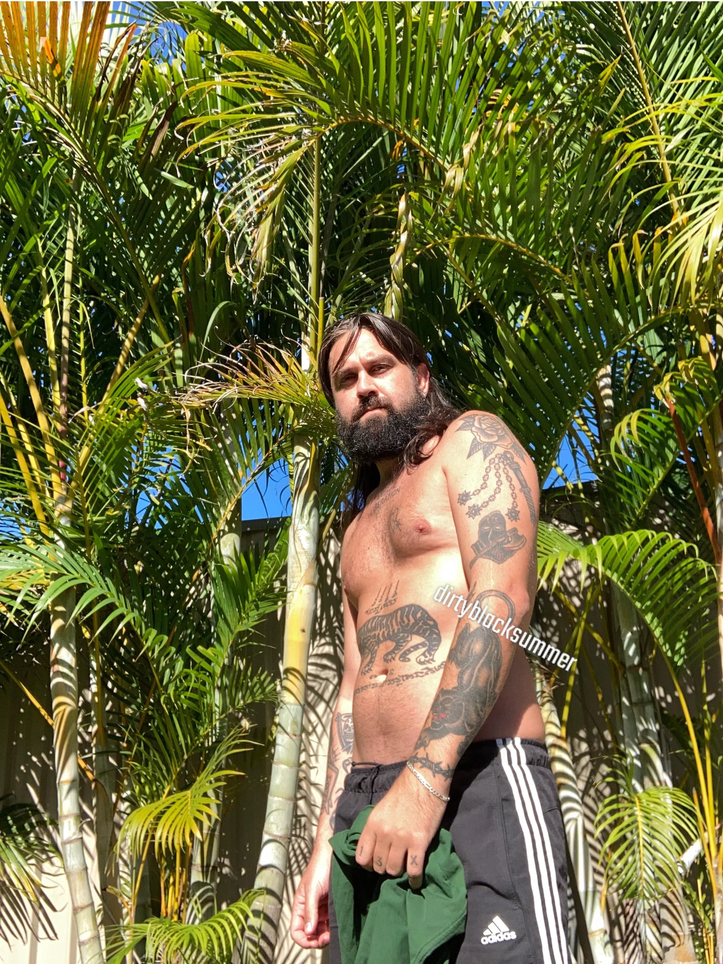 Catching some rays on the first day of winter. posted by dirtyblacksummer13