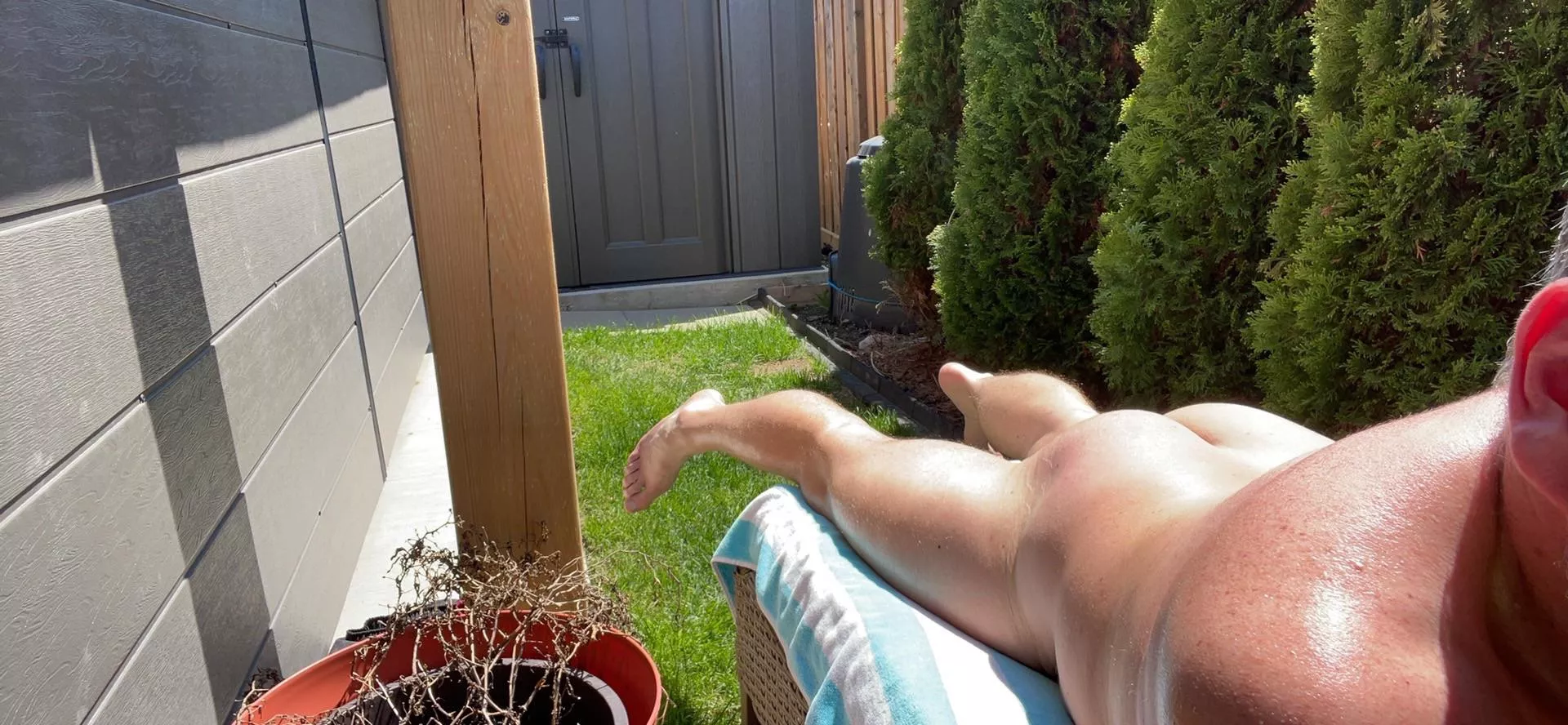 Catching some sun! posted by Angelconcuernos80