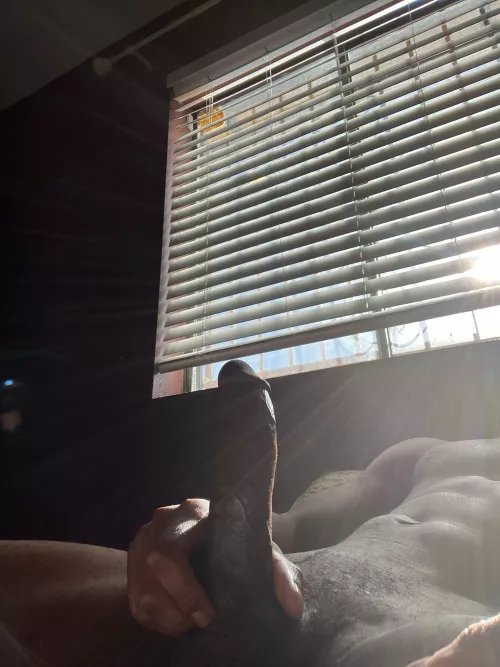 catching some sun.. by Glittering-Body-2418