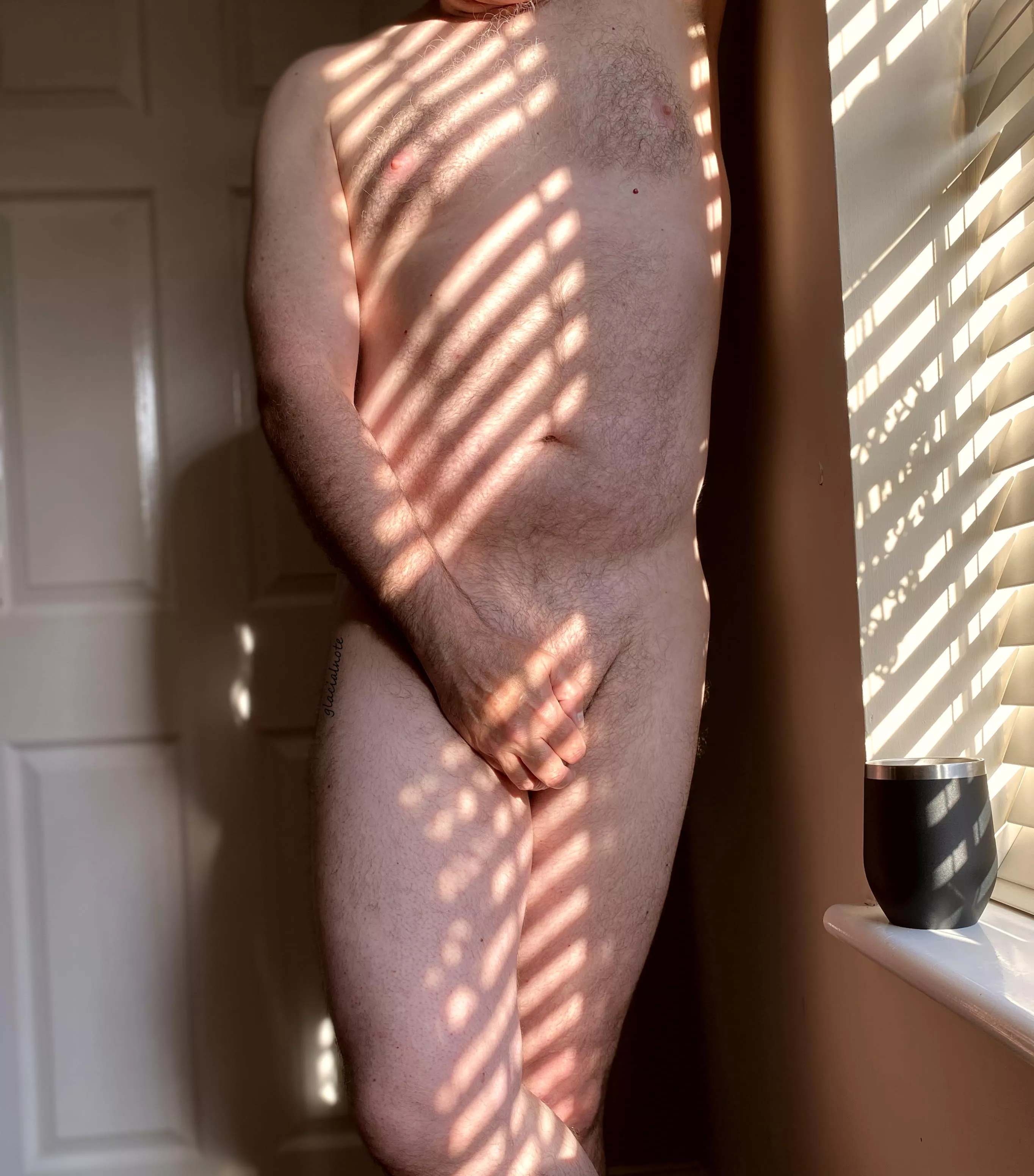 Catching the sunlight posted by glacialnote