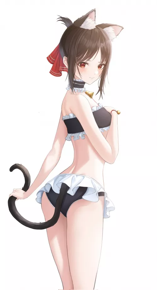 Catgirl Shinomiya [Kaguya Sama] by xSaviour_N