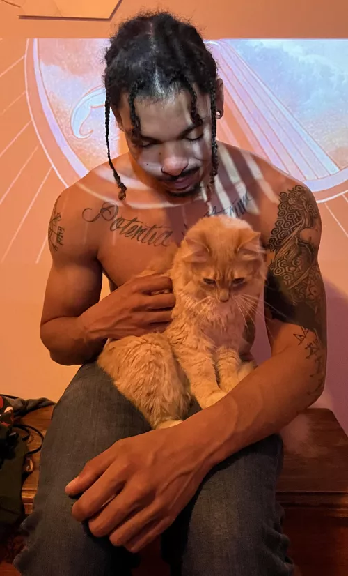 Cats and vascularity = balance by tonguelife