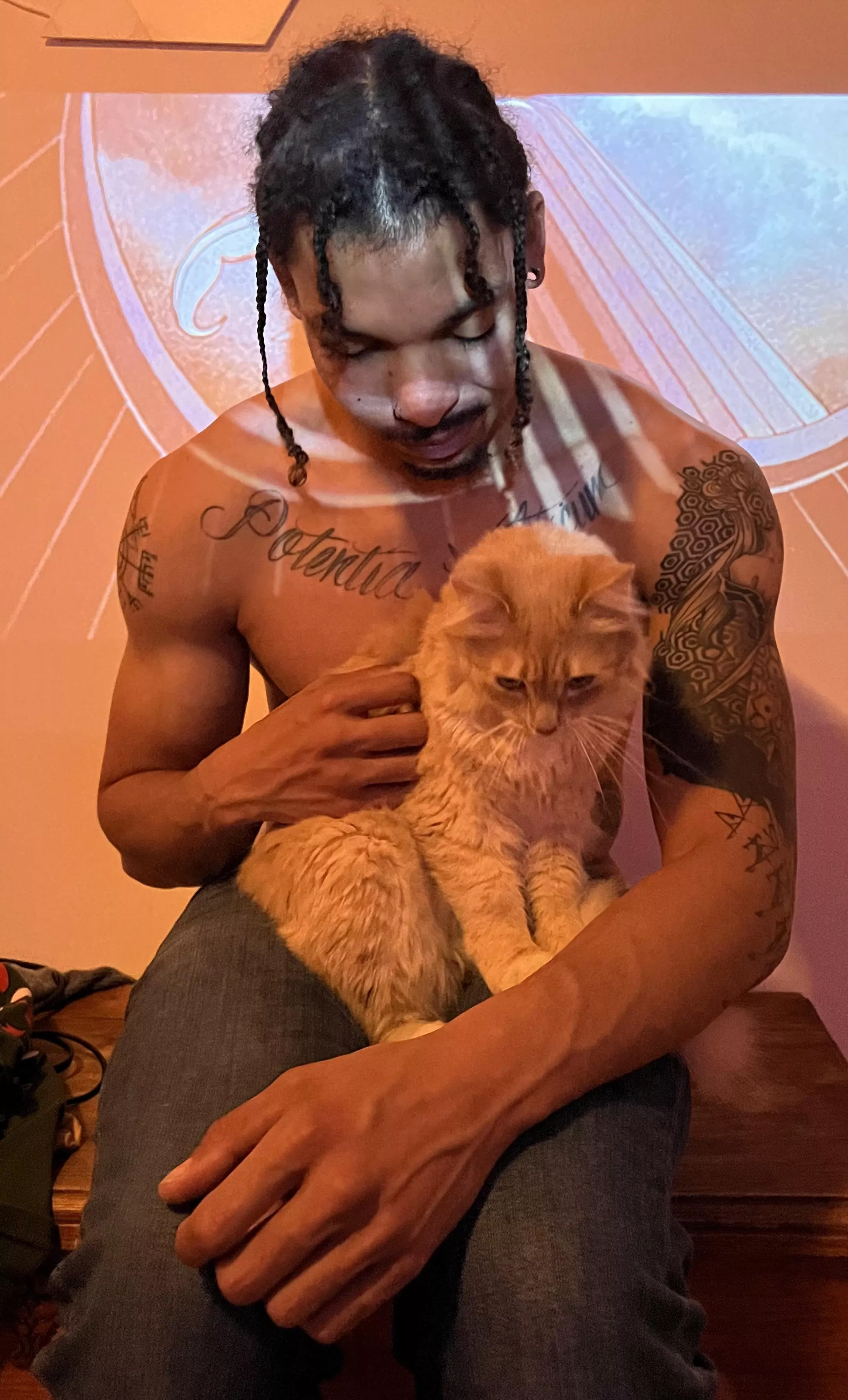 Cats and vascularity = balance posted by tonguelife