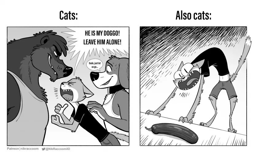 Cats be like. By me. by Nik159