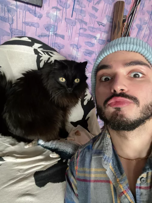 Cats love me 🥹 by psylla96