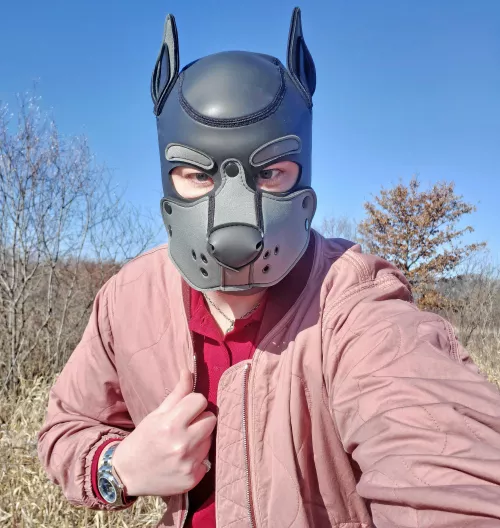 Caught a BURBERRY woof in the wild! by PupPlatinum