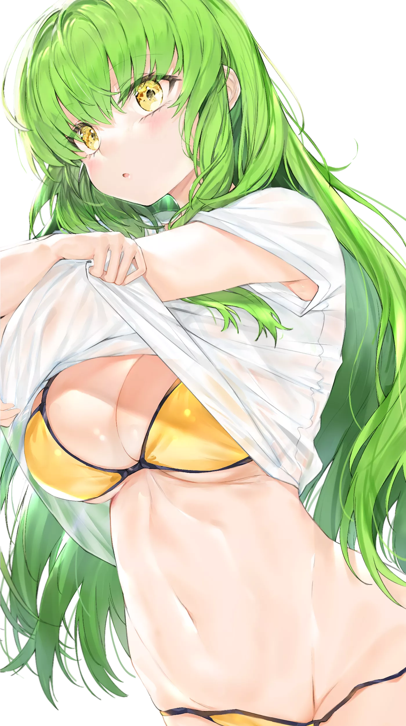 C.C. [Code Geass] posted by dumbocow
