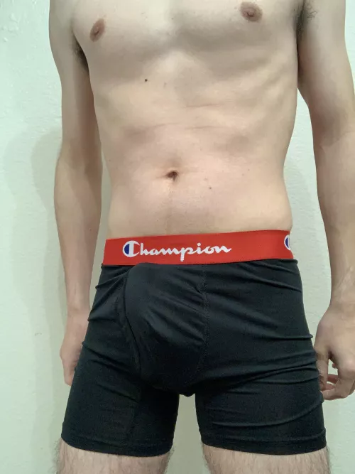 Champion boxers today by bottombriefboy