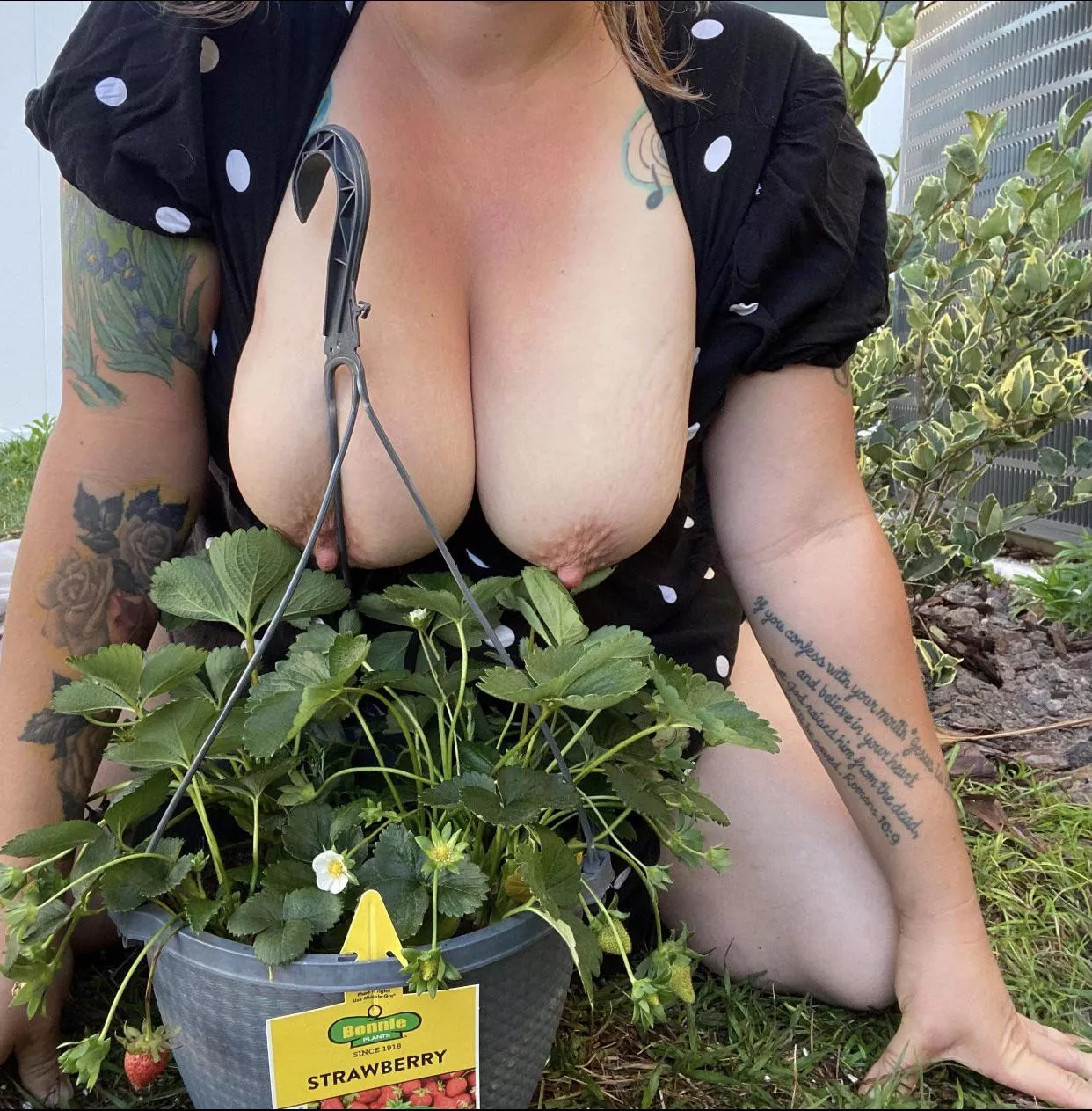 Changing it up, since it’s earth day let’s enjoy some of those strawberries posted by Amelia_jones2087