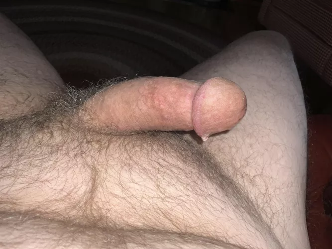 Chat session precum (nsfw) by Picsandstuff54