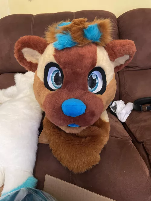 Check out the otter I made for myself! I’m also open for commissions! DM me here or follow me on twitter @stitchupsuits by Praimfayaa-