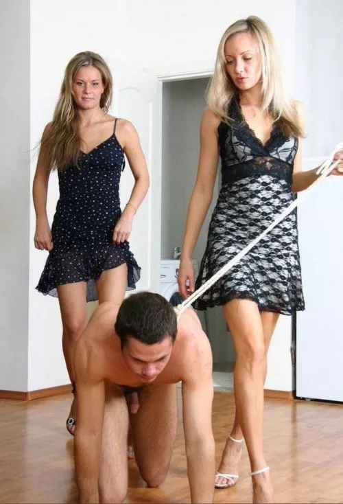 Cheep pet by hazingisamazing