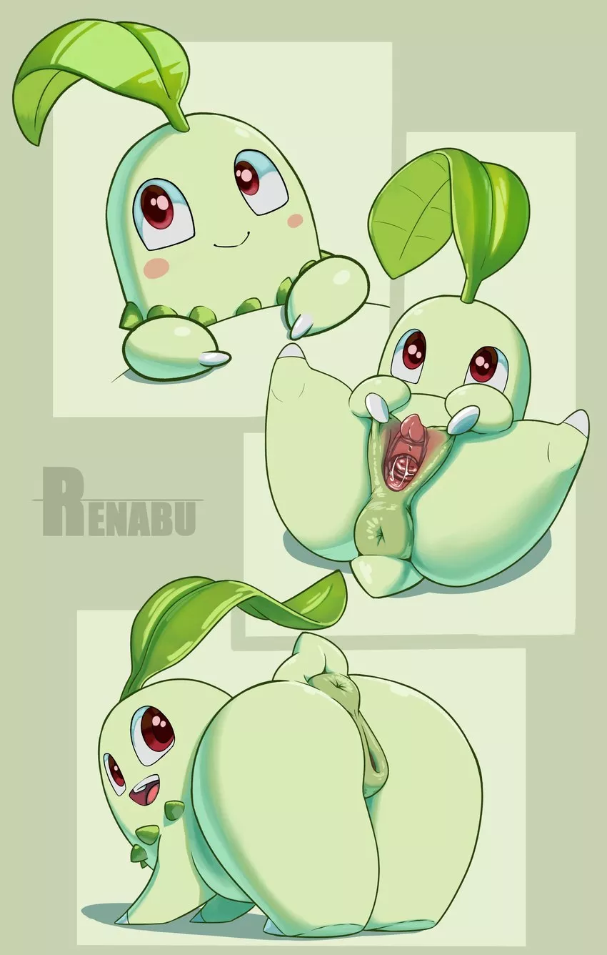 chikorita showing why she the best gen 2 starter (renabu) [f] posted by TylerHthefishboi