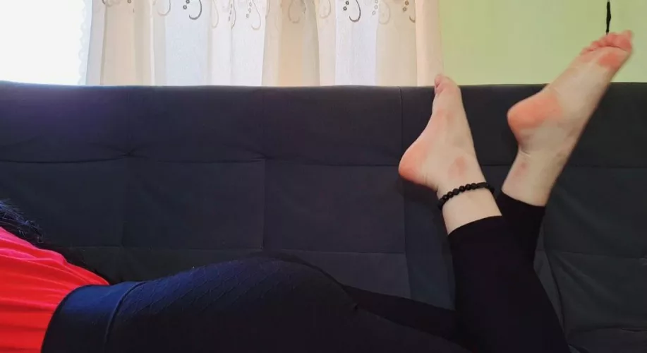 Chilling on the sofa. Wanna join? by No-Nefariousness8872