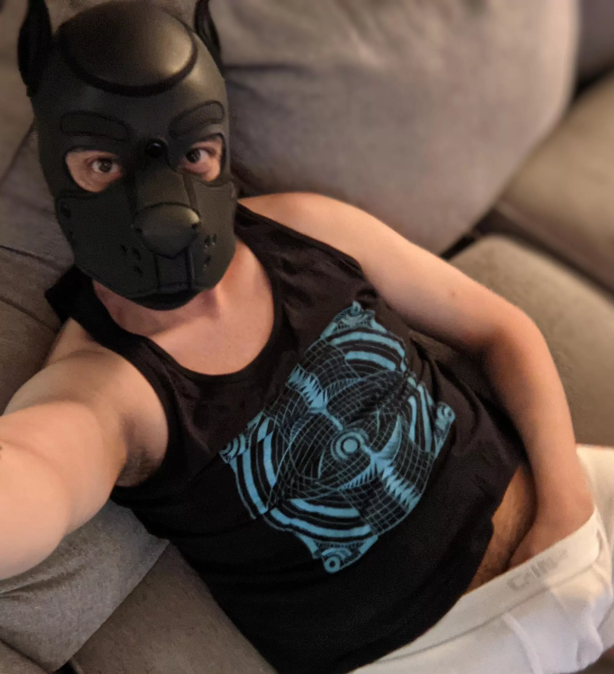 chilling pup posted by Expensive_Donkey442