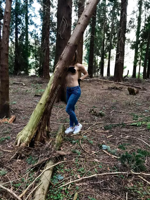 Chilly Sundays... 🥶🌲 [f] by YourEcoFantasy