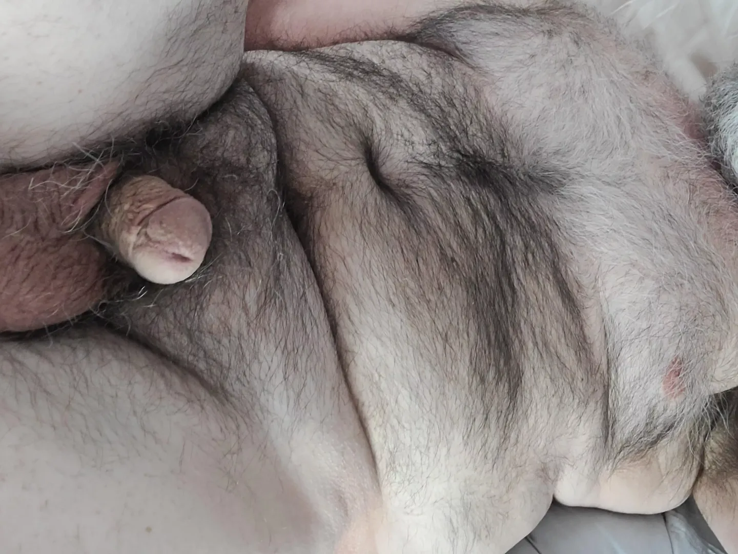 chubby and hairy by poppajcg