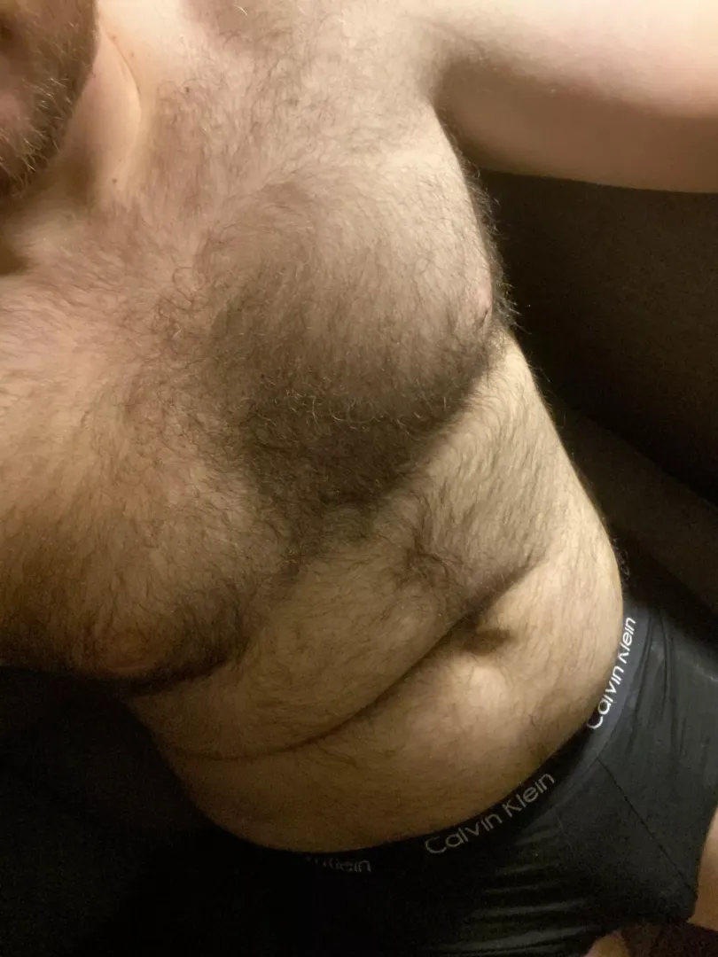 Chubby and hairy by droppingfuckingloadz