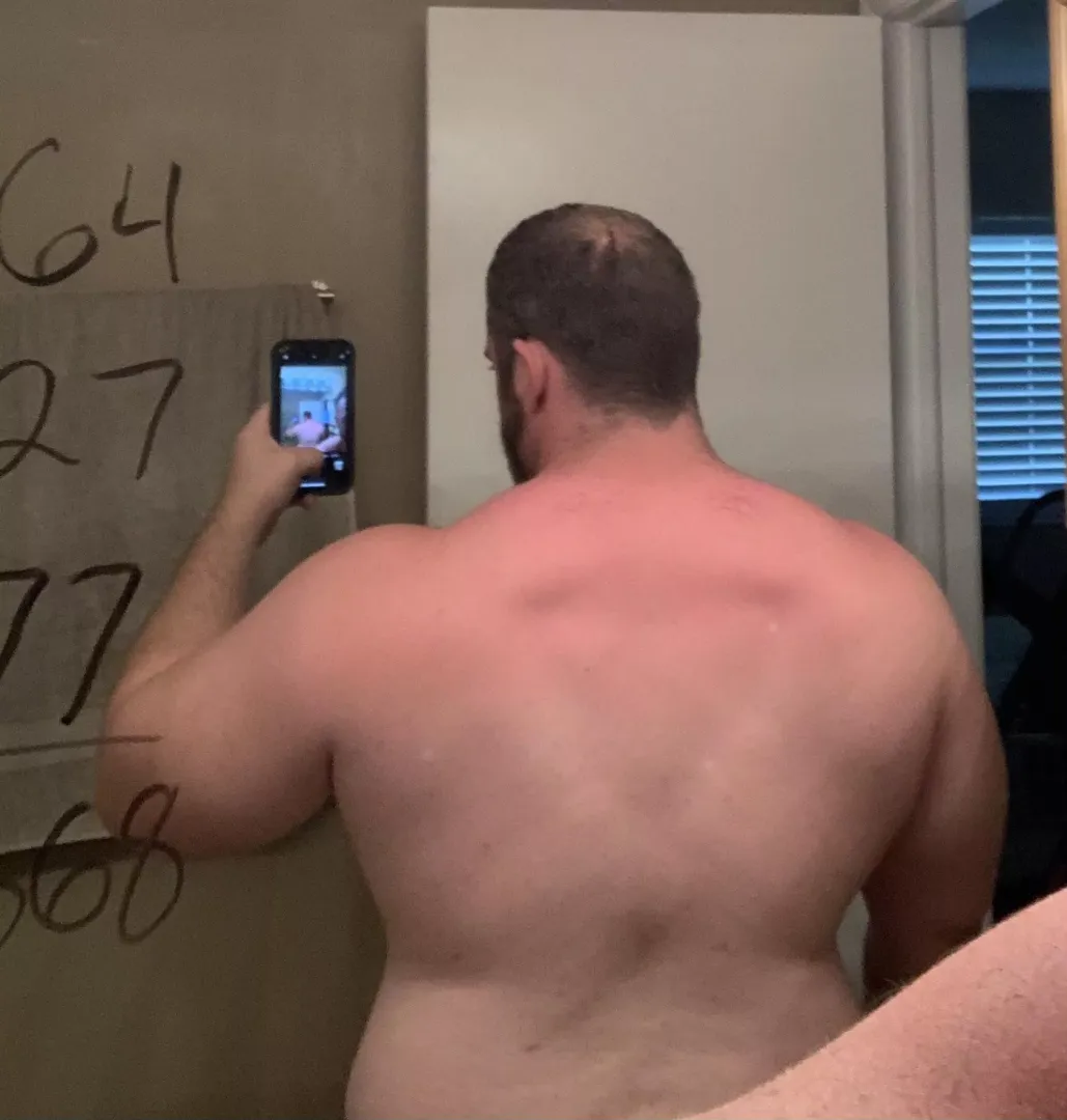 Chubby guys with big backs count? by RobThePowerLifter