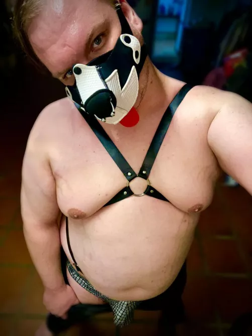 Chubby Puppy joining. Haven’t set on a name yet. Just Chubby Puppy thus far. by DiscombobulatedAd804