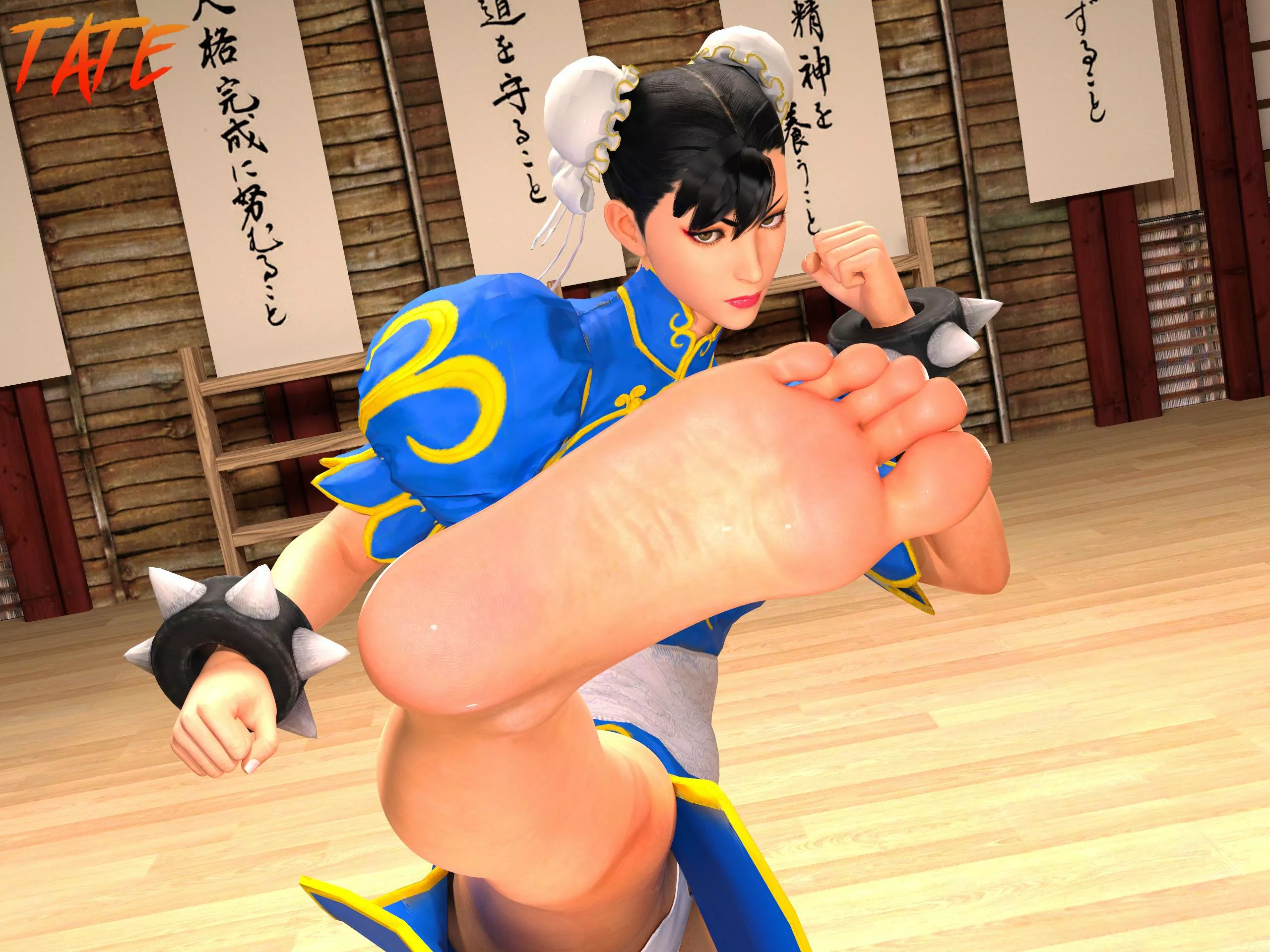 Chun-Li Training (Tate) [Street Fighter] posted by Lachryma_ud