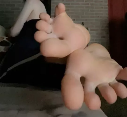 clean them for me? :3 by catboycrush