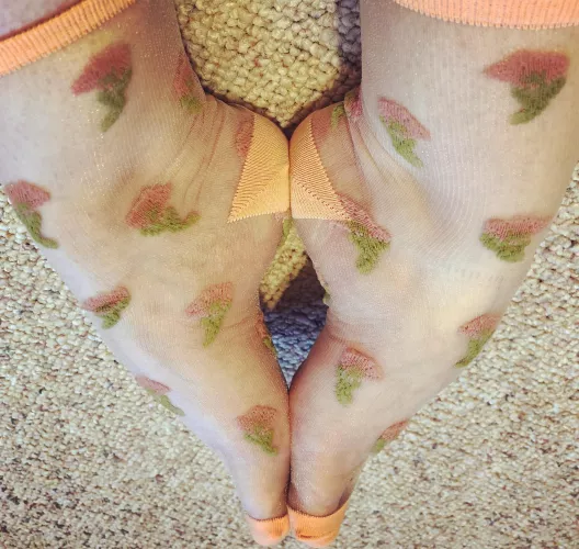Clear flower socks 🌺 F by CupcakeTootsie