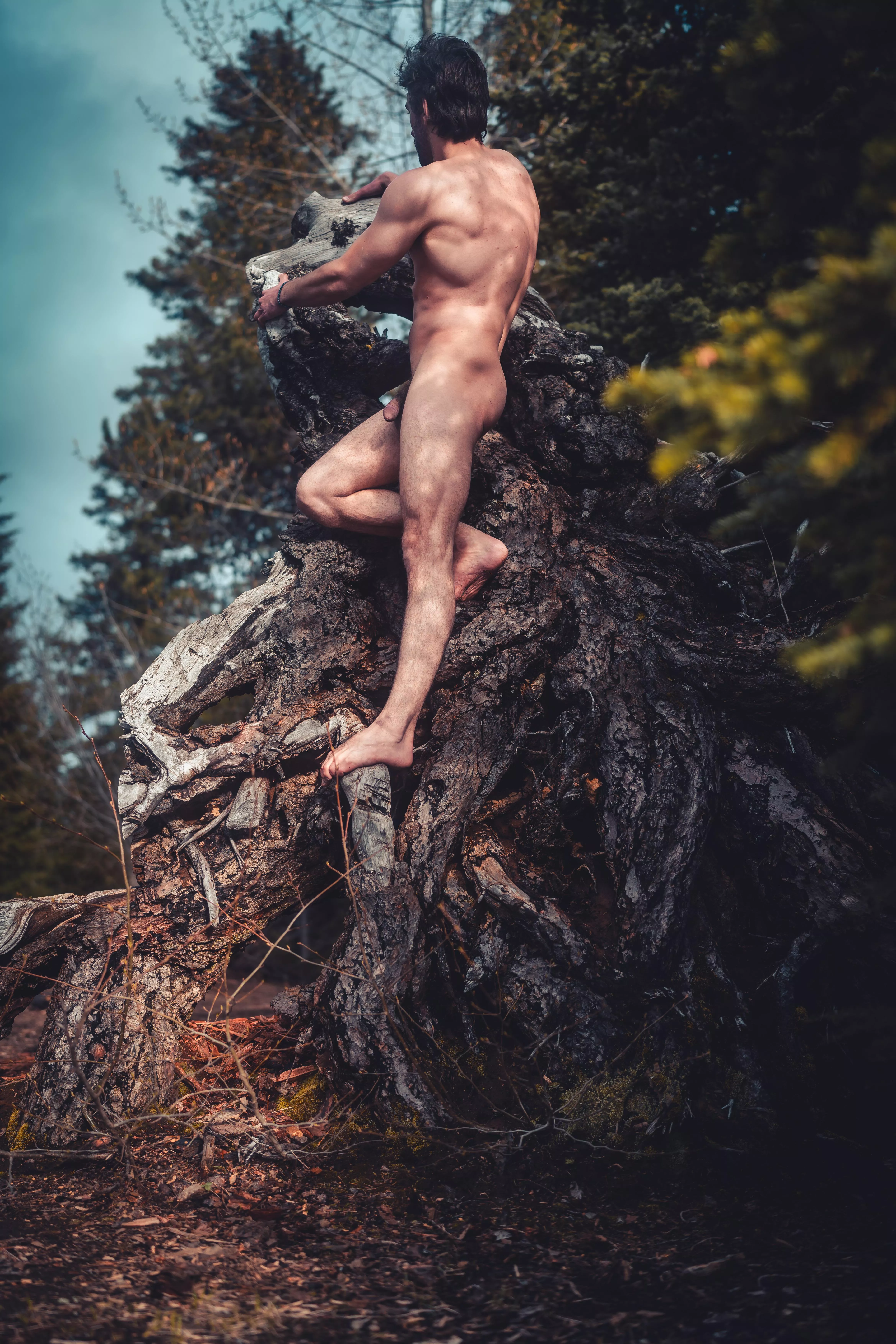 Climbing on an uprooted stump posted by iwanttobeurman