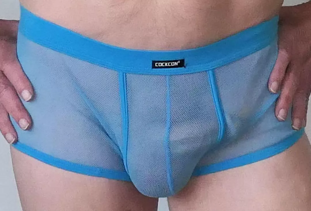 close up of my mesh briefs. (70).. posted by oldalan1