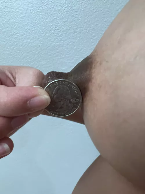 Close up shot by rose544