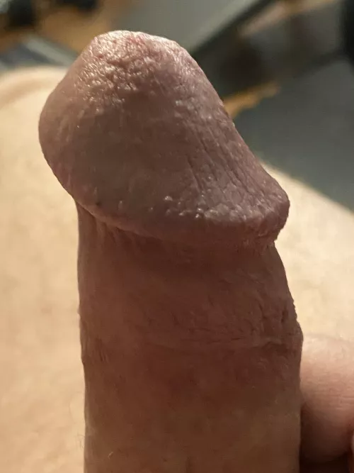 Close up by Circus1701