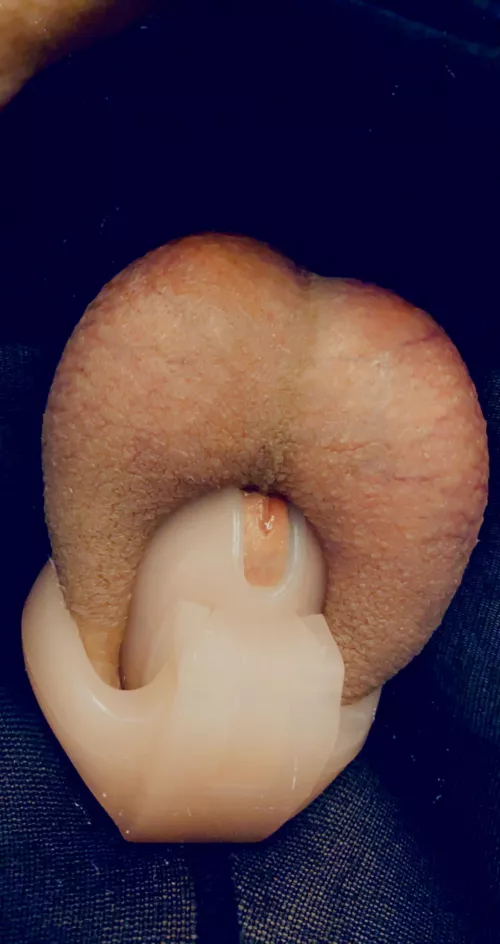 #closeup by jamiecoxxx18