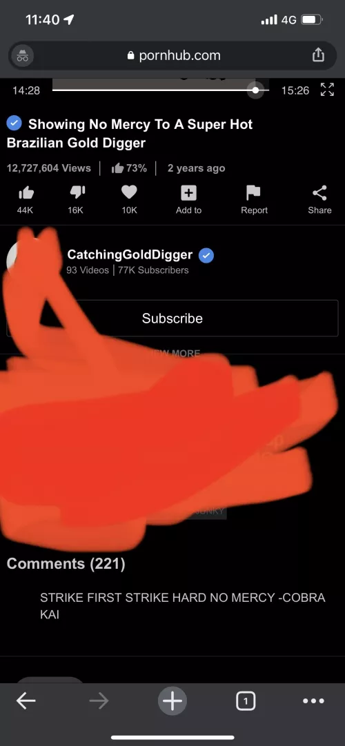 Cobra Kai by Upstairs_Trifle6821